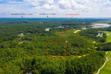 4117 Nesting Egret Dr, Johns Island, SC 29455 - photo 6