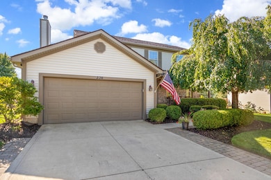 336 Cottage Grove-3-FULL