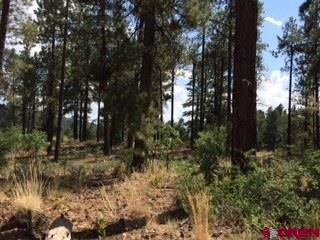 0 Calico Trail unit 696701, Durango, CO 81301 - photo 2