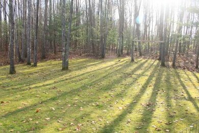 Back Yard.