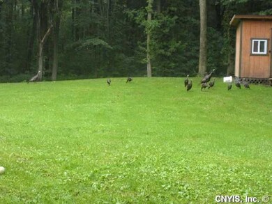 Yard/Garden