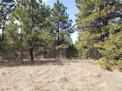 TBD Bugling Elk Ln, Columbus, MT 59019 - photo 3
