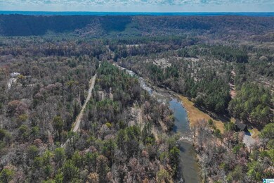 8799 Shades Fall Way, Bessemer, AL 35022 - photo 6