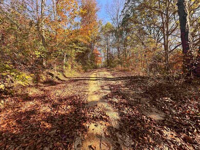 24099 Old Us 52 Hwy, Laurel, IN 47024 - photo 7