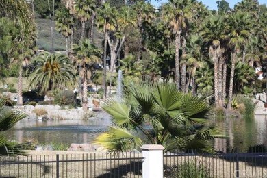 Pond view from front of building.