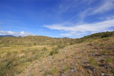 20 Hamilton Ranch Loop, Winthrop, WA 98862 - photo 7