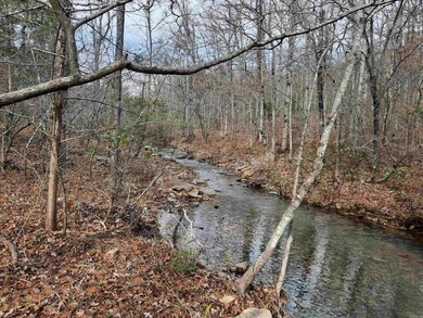 000 Hwy 9, Mountain View, AR 72560 - photo 4