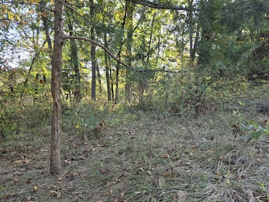 150th Street, Floris, IA 52560 - photo 5