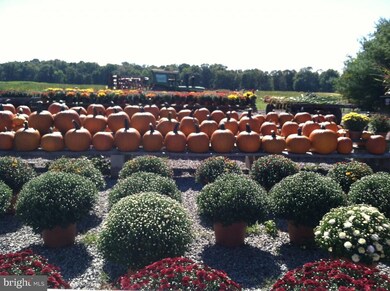 1202 Windsor Rd, West Windsor, NJ 08550 - photo 5