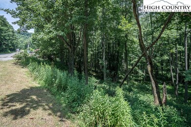 2691 Poplar Grove Rd S unit 4, Boone, NC 28607 - photo 5