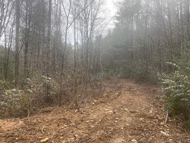 0 Flea Mountain Rd unit 417912, Murphy, NC 28906 - photo 7