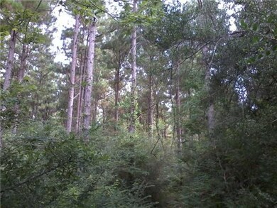 27692 Alphus Thomas Rd, Franklinton, LA 70438 - photo 4