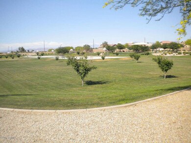 Back yard - view to greenbelt