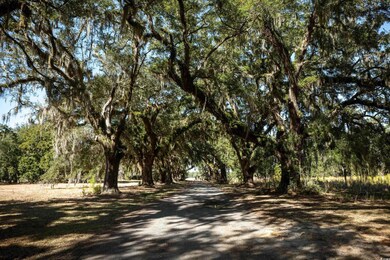 View of asphalt road with a view of trees