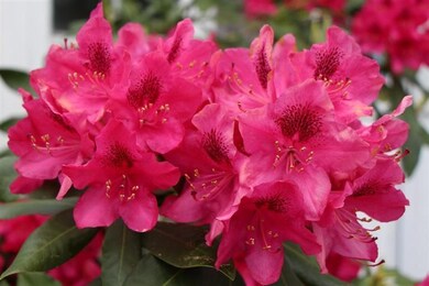 1 Cross Rd, Buzzards Bay, MA 02532 - photo 3