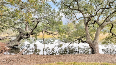 58 Indigo Point Dr, Charleston, SC 29407 - photo 6