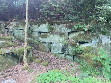 N/A N A, Scaly Mountain, NC 28775 - photo 4