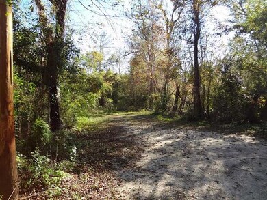 0 Shinglemill Rd, Pearl River, LA 70452 - photo 4