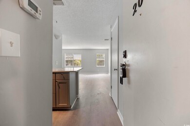 6840 Blue Heron Blvd unit 206, Myrtle Beach, SC 29588 - photo 6