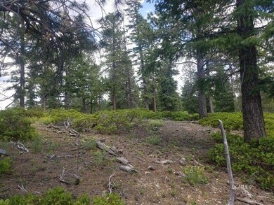 The Lot at the Top of the Hill