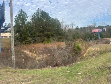 1.6 Acres La Jaunie Ln, Sumrall, MS 39482 - photo 2