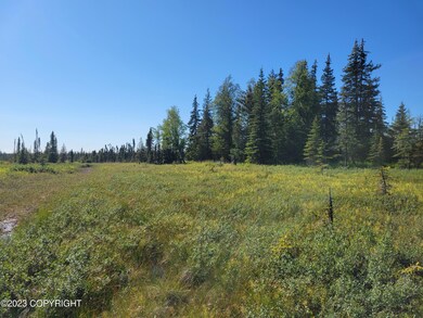 Tr 12 Tomski Ave, Anchor Point, AK 99556 - photo 7