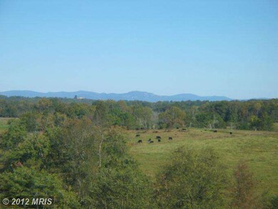 801 Twymans Mill Rd, Radiant, VA 22732 - photo 6