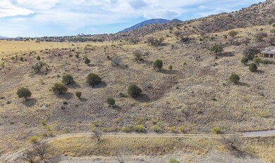 Lot 009P S One More Road -- unit 9P, Hereford, AZ 85615 - photo 6
