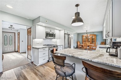 8055 Memory Ln, Canfield, OH 44406 - photo 6