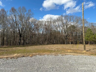 Photo Feb 07 2025, 2 38 50 PM