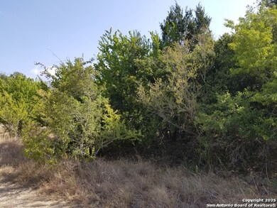 4736 Troy Ln, Schertz, TX 78154 - photo 3