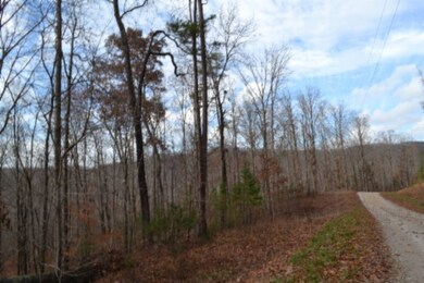 0 Tomahawk unit RTC3050220, Jamestown, TN 38556 - photo 7