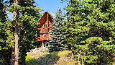 11678 S Whitetail Rd, Bigfork, MT 59911 - photo 6
