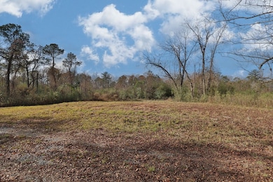13145 Ga Highway 315, Cataula, GA 31804 - photo 7