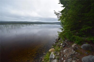 The shore of Madagascal Pond