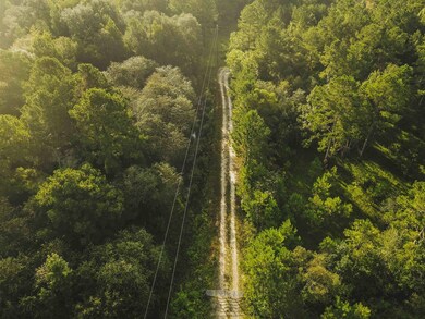 210 Egg & Butter Rd, Ochlocknee, GA 31773 - photo 5