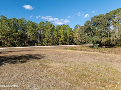 L1 Virginia Ln, Sneads Ferry, NC 28460 - photo 2