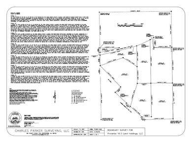 17.25 Acres Goat Hill Rd, Samson, AL 36477 - photo 6