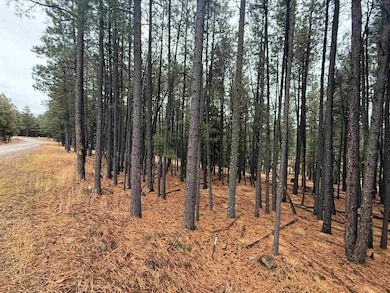 Lot 76 San Juan Dr, Angel Fire, NM 87710 - photo 4