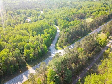 000 Vacant U S 31, Pellston, MI 49769 - photo 7