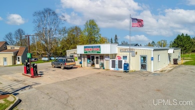 11894 Michigan 35, Perkins, MI 49872 - photo 5