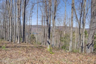 Watauga-6