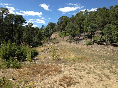 33079 Mountain Meadow Overlook unit Lot D11, Trinidad, CO 81082 - photo 7
