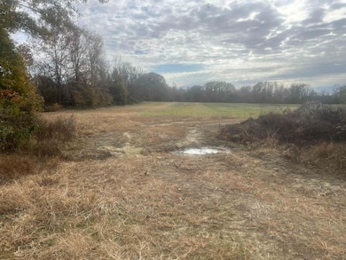 00 Scholes Ln, Stanton, TN 38069 - photo 2