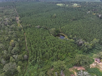 La Hwy 60 unit LotWP001, Franklinton, LA 70438 - photo 2