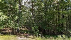 2 Arrow Trail, Waleska, GA 30183 - photo 6