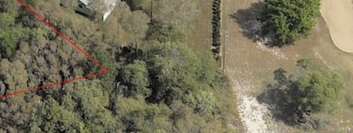 8775 N Limbo Cir, Citrus Springs, FL 34434 - photo 4