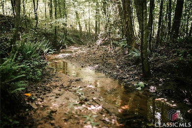 0 Griffin Rd unit CM1027810, Royston, GA 30662 - photo 6