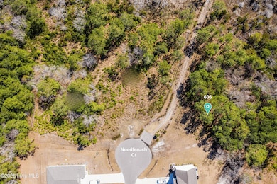 606 Needlerush Rd, Sneads Ferry, NC 28460 - photo 3