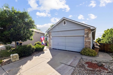 607 Branding Iron Ln, Castle Rock, CO 80104 - photo 2